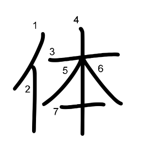 体