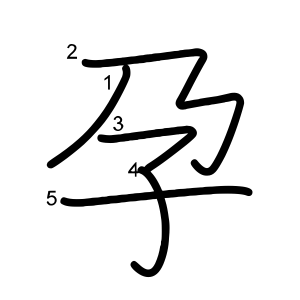 孕
