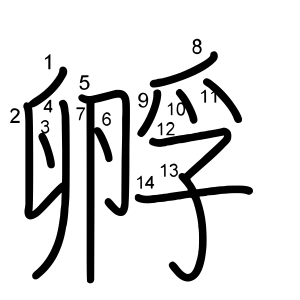 孵