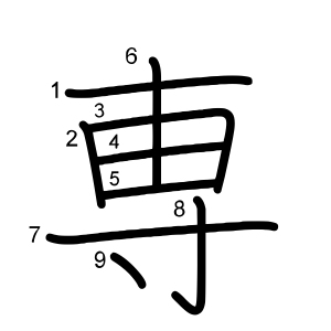 専