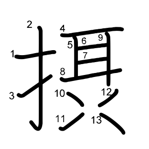 摂