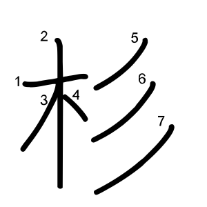 杉