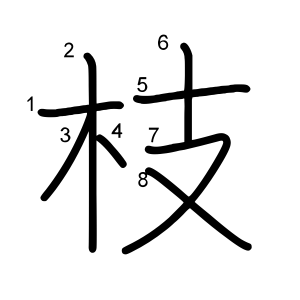 枝