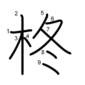 柊