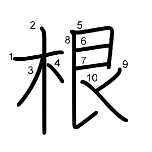 根