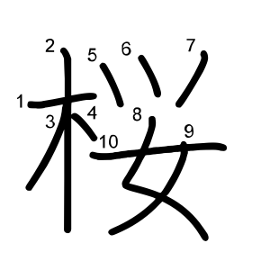桜