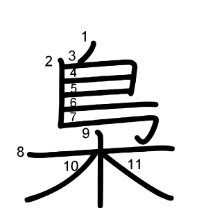 梟