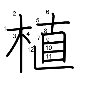 植