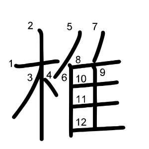 椎