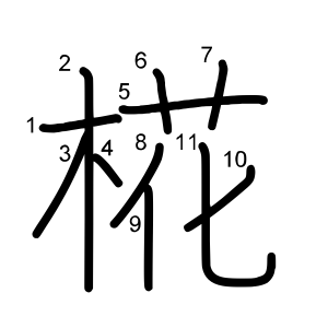 椛