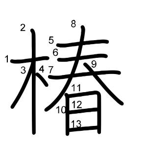 椿