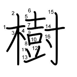 樹