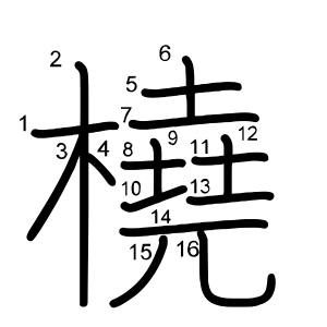 橈