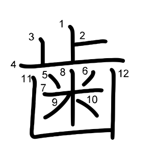 歯
