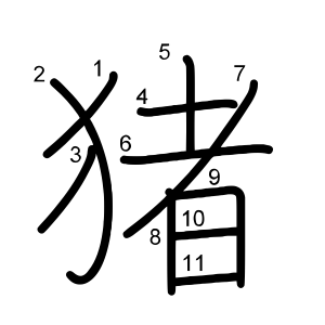 猪