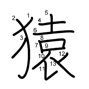 猿