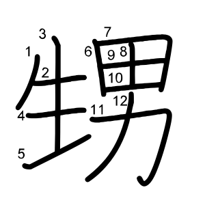 甥