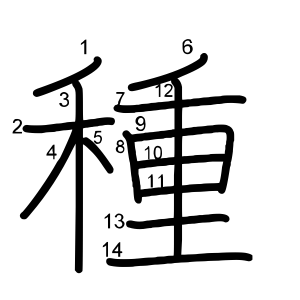 種