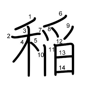 稲