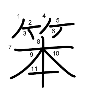 笨