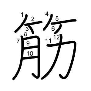 筋