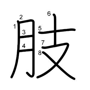 肢