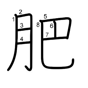 肥