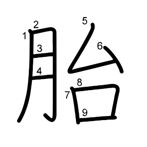 胎