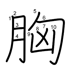 胸