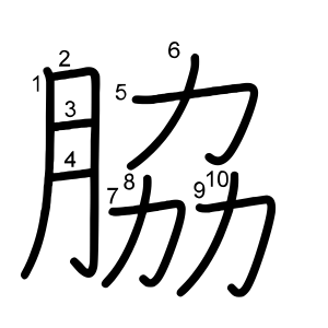 脇