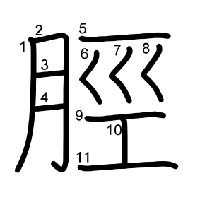 脛