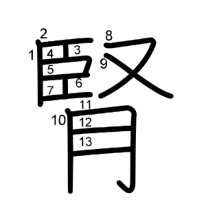 腎