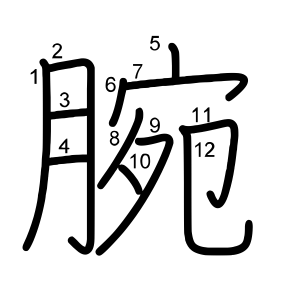 腕