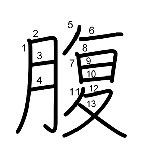 腹
