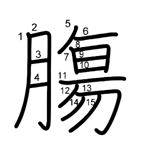 膓