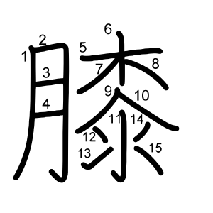 膝