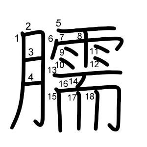 臑