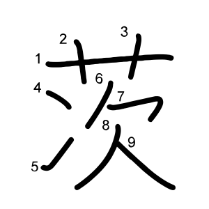 茨