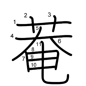 菴