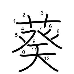 葵