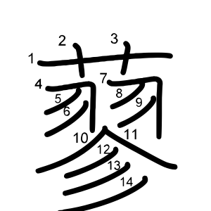 蓼