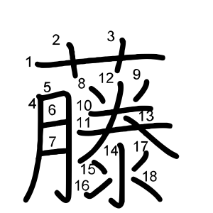 藤