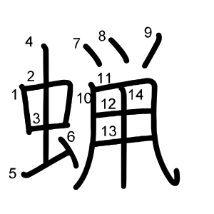 蝋
