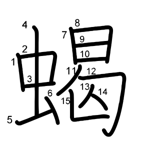 蝎