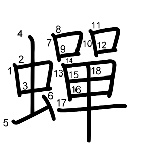 蟬