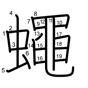 蠅