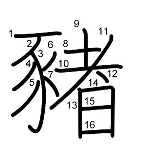 豬