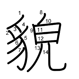 貌
