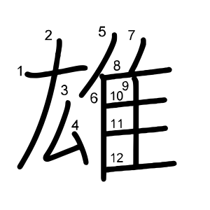 雄
