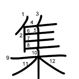 集